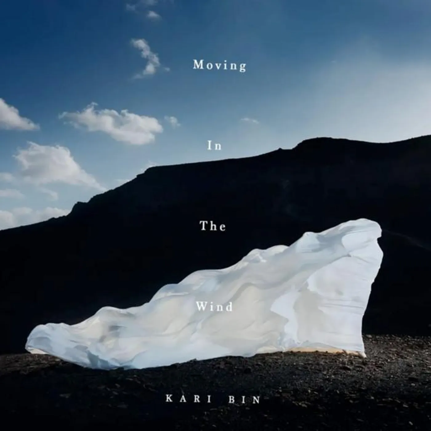 Kari Bin Brand Page