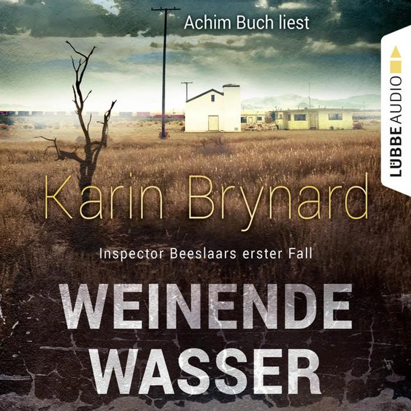Karin Brynard