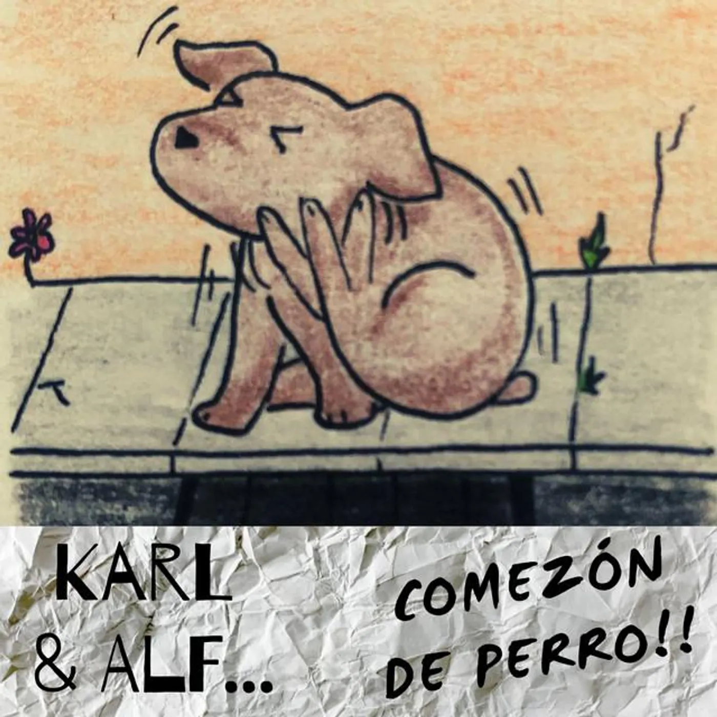 Karl