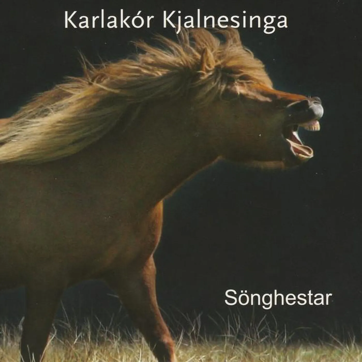 Karlakór Kjalnesinga Brand Page