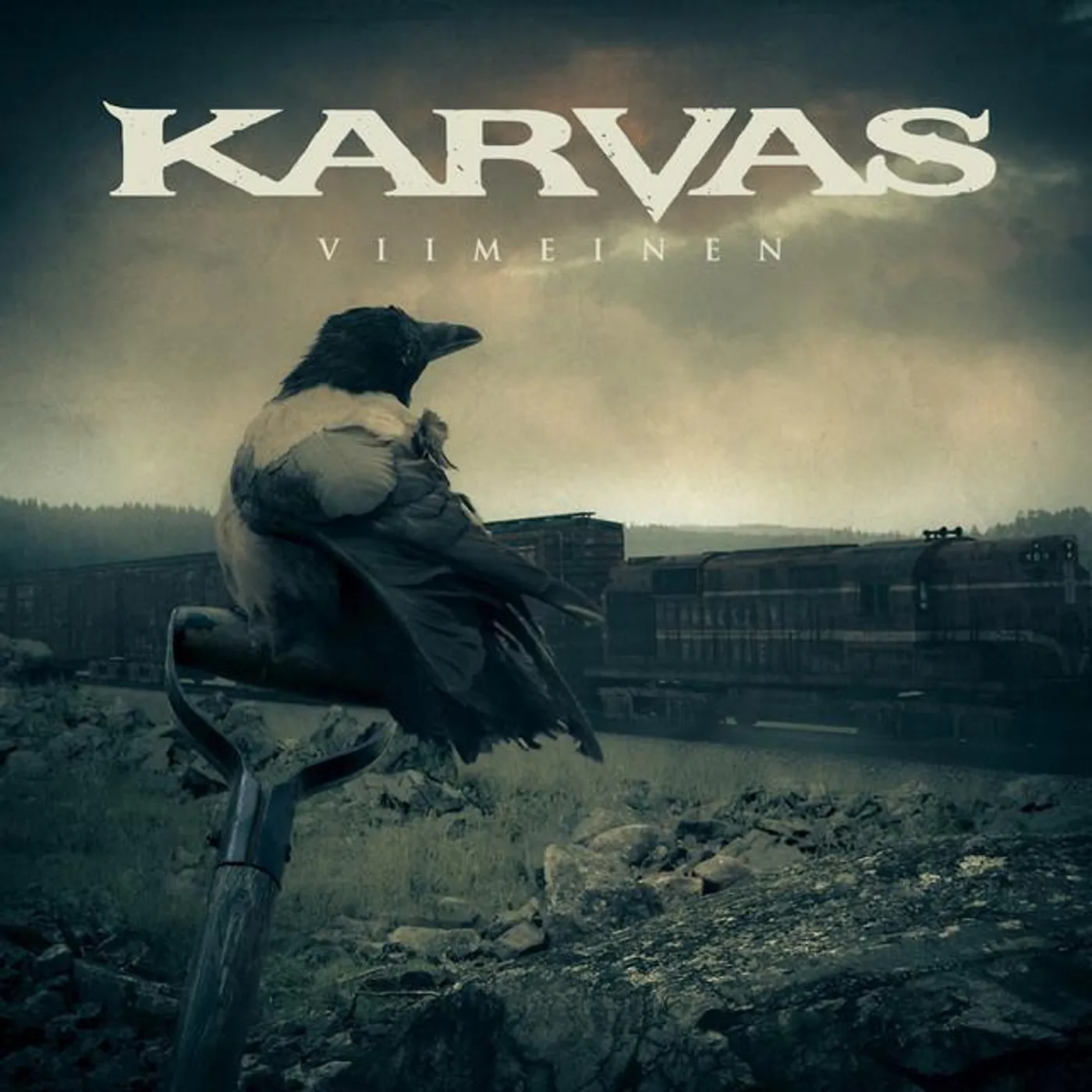 Karvas
