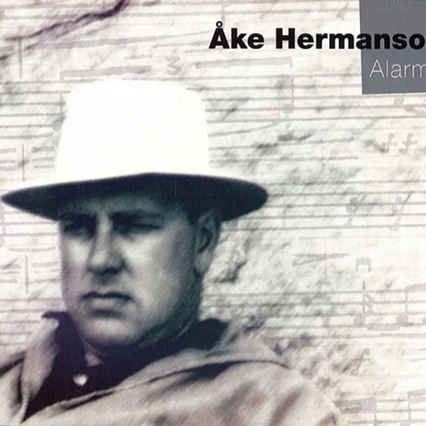 Åke Hermanson