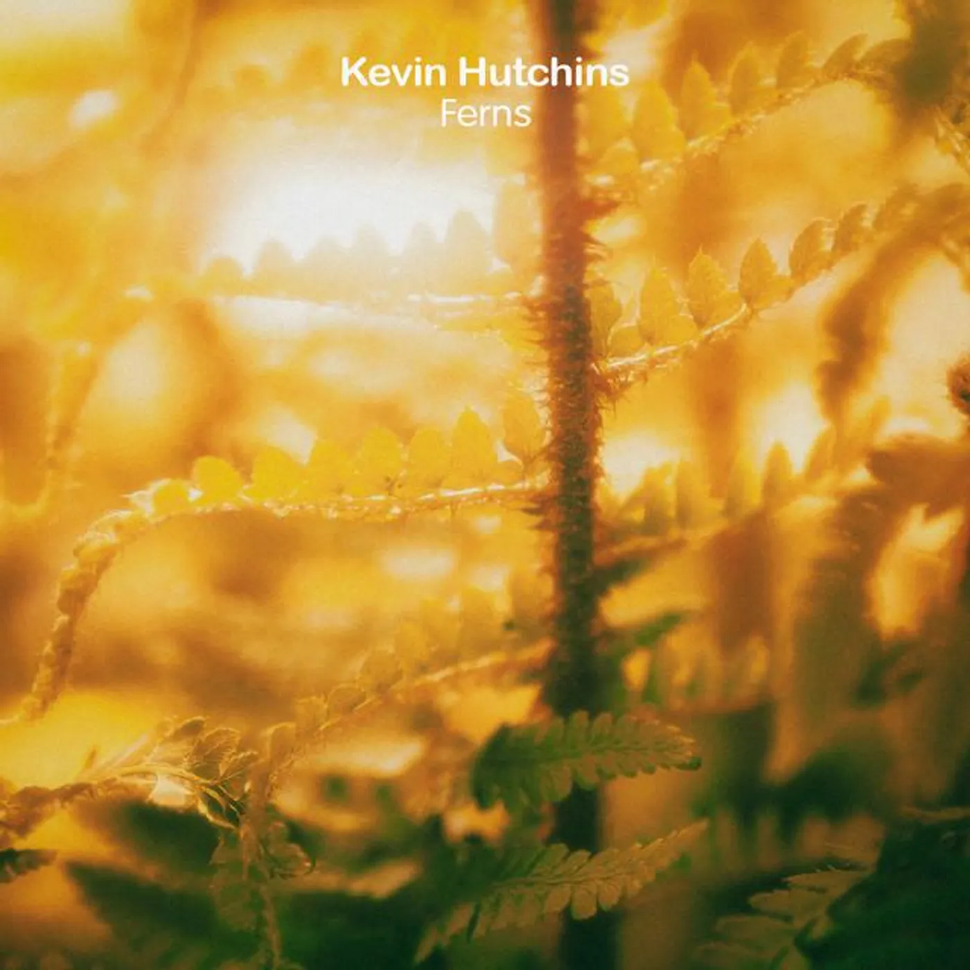 Kevin Hutchins