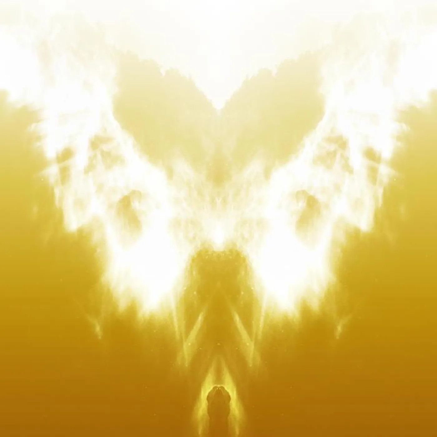 Kevin Wrenn Brand Page