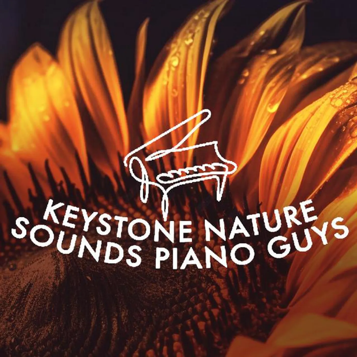 Keystone Nature Sounds Piano Guys