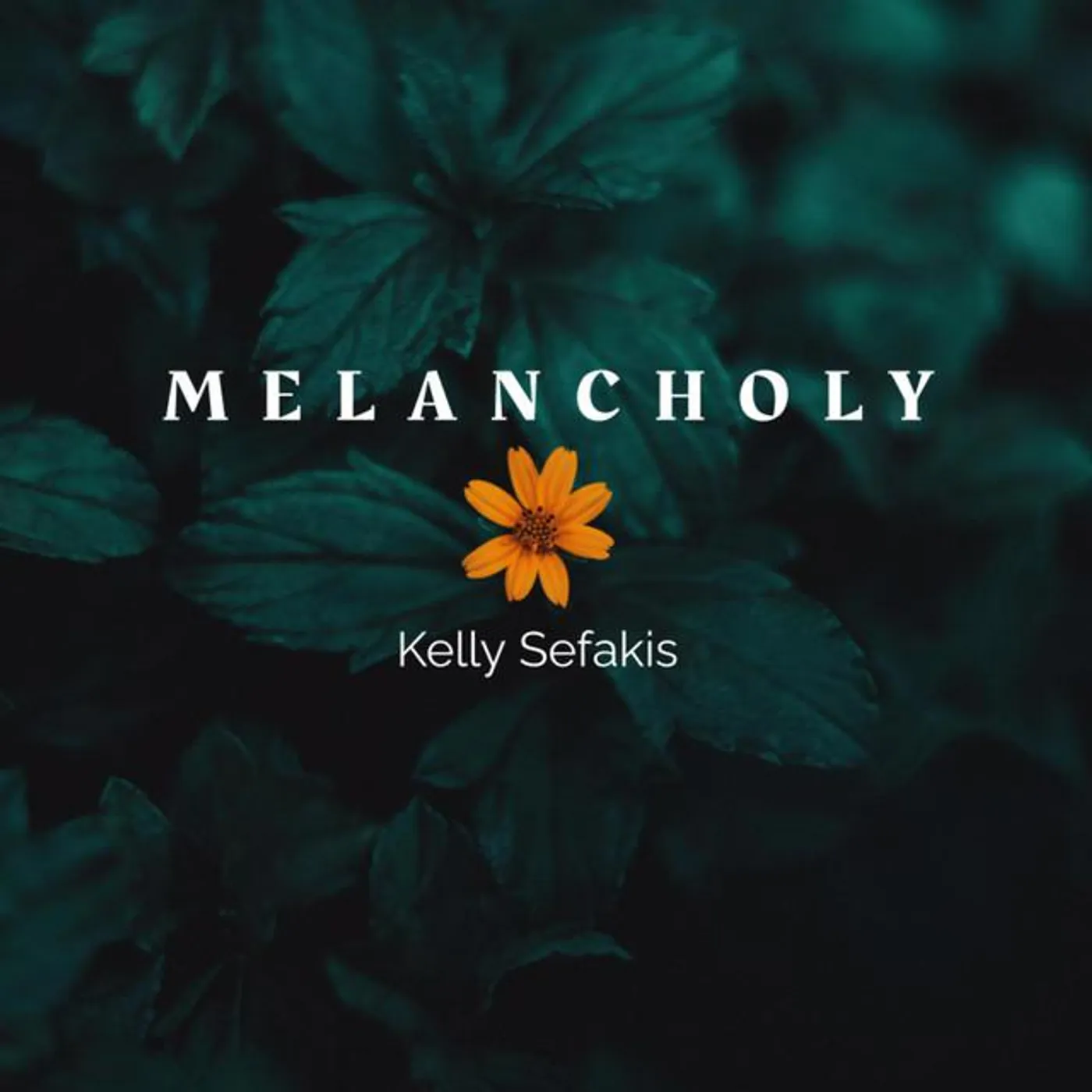 Kelly Sefakis Brand Page
