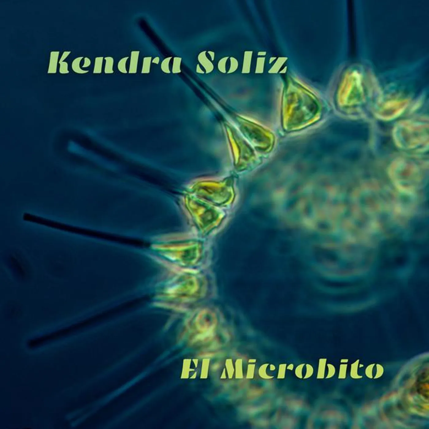 Kendra Soliz