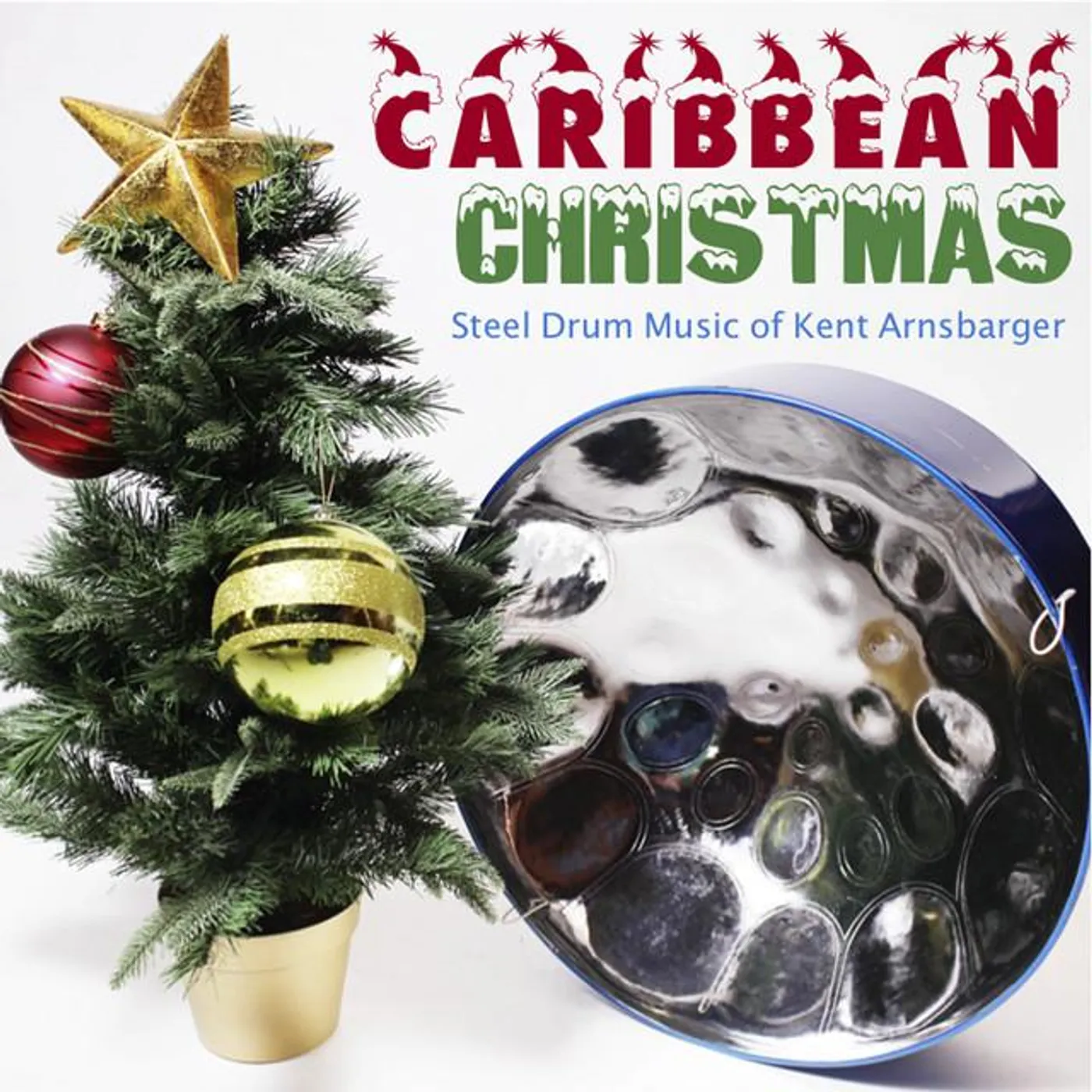 Kent Arnsbarger: Steel Drum Artist