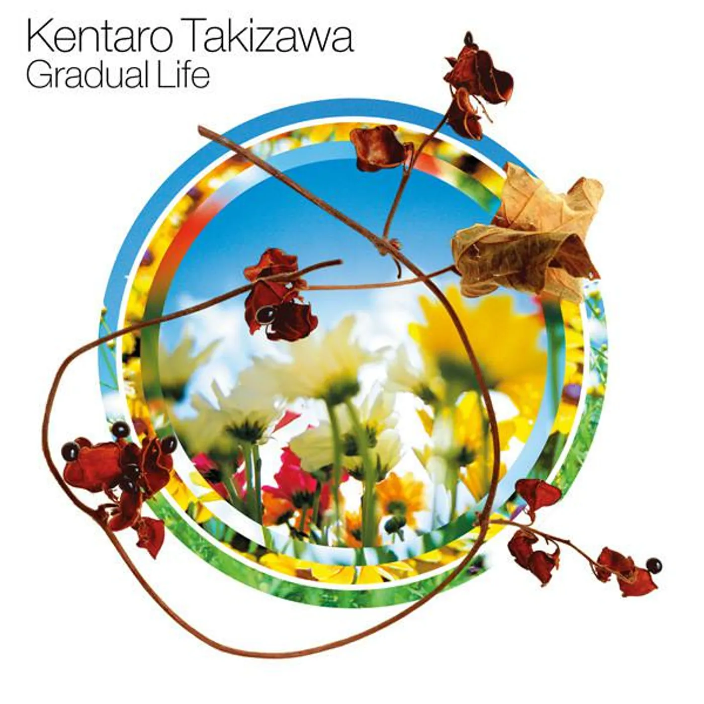 Kentaro Takizawa