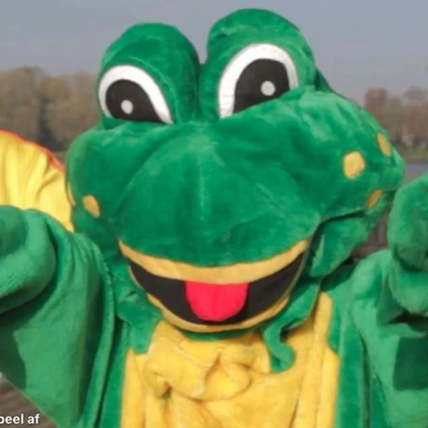 Kermit dun Kwakert