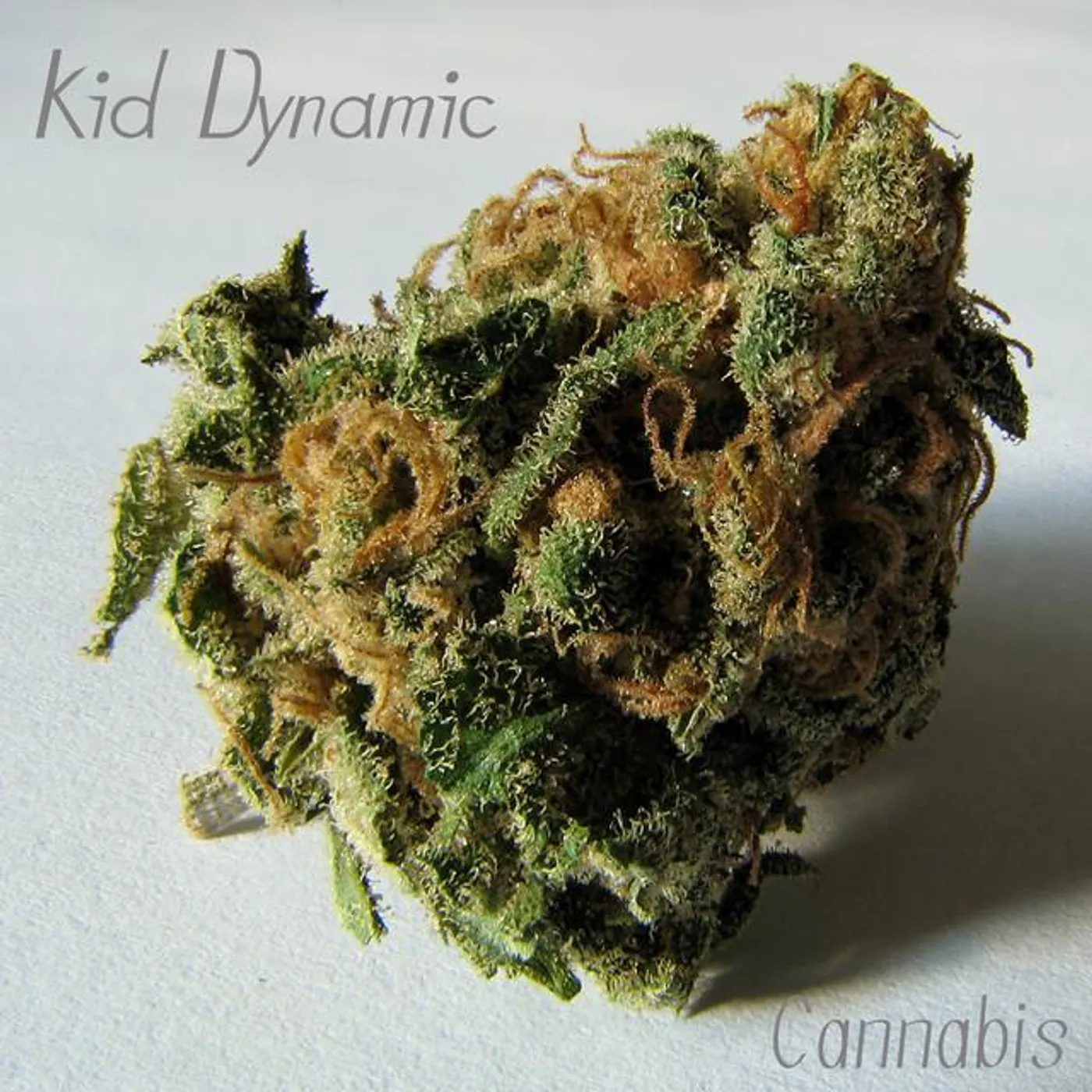 Kid Dynamic