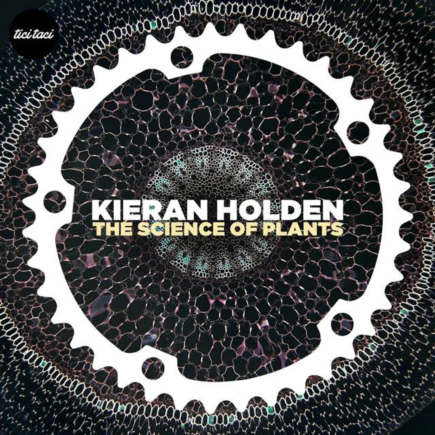 Kieran Holden Brand Page