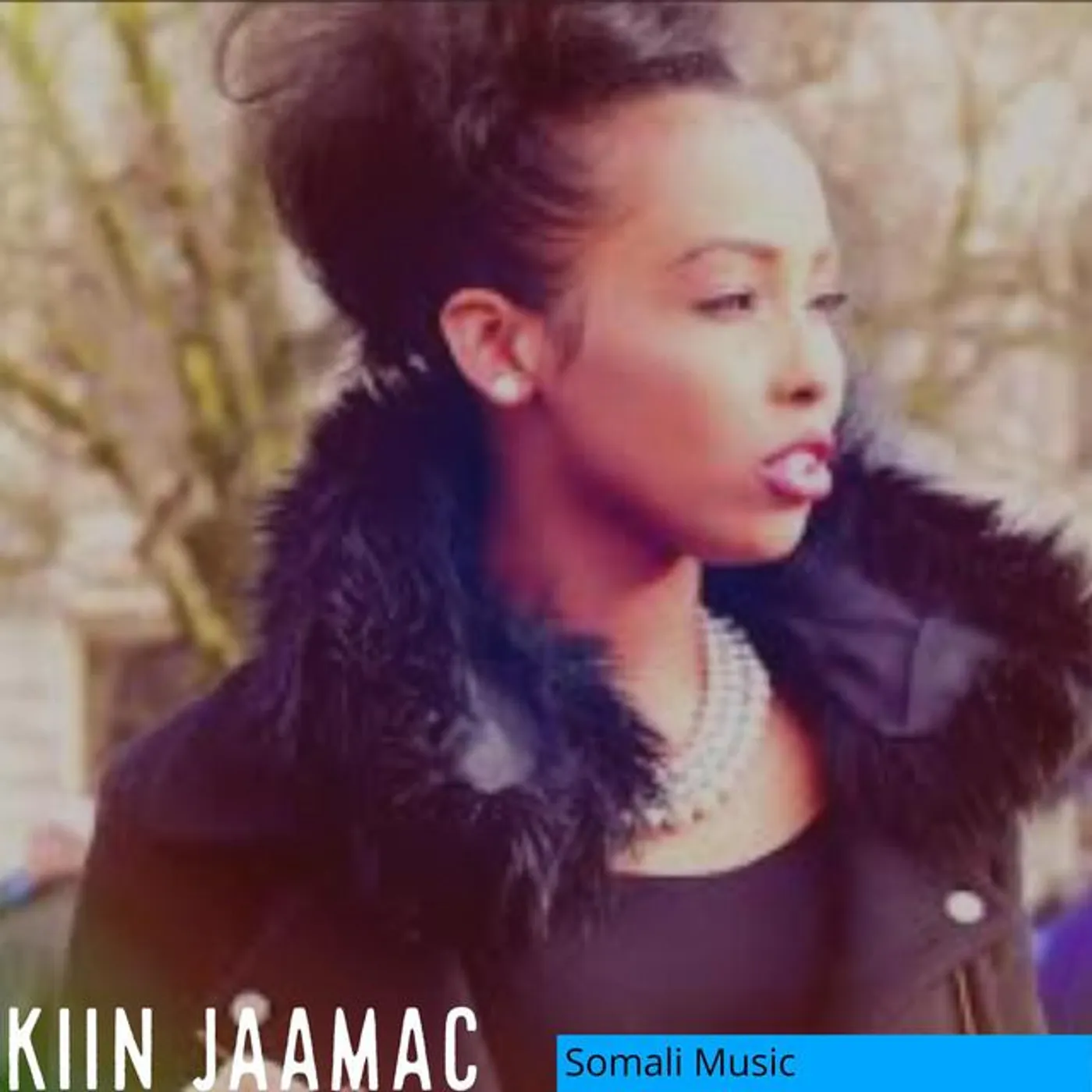 Kiin Jaamac
