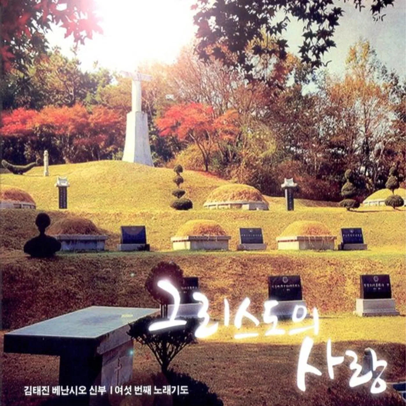 Kim Tae Jin