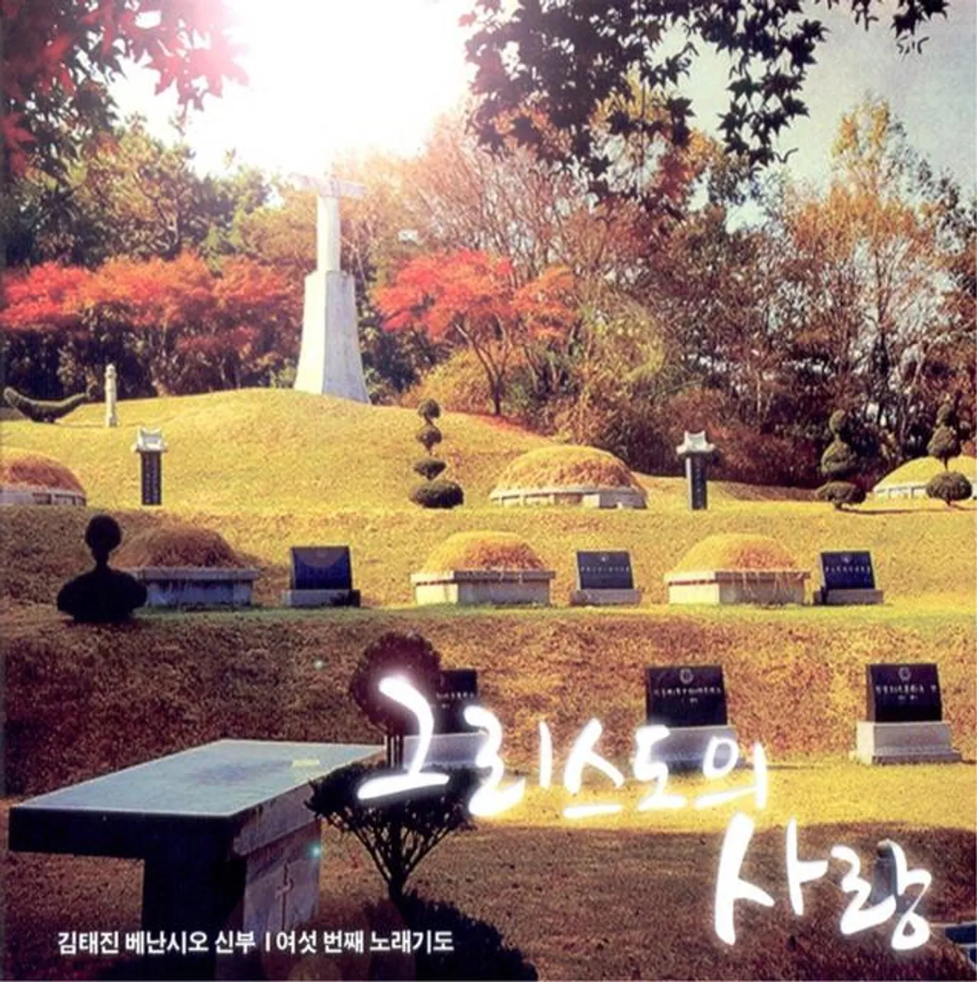 Kim Tae Jin