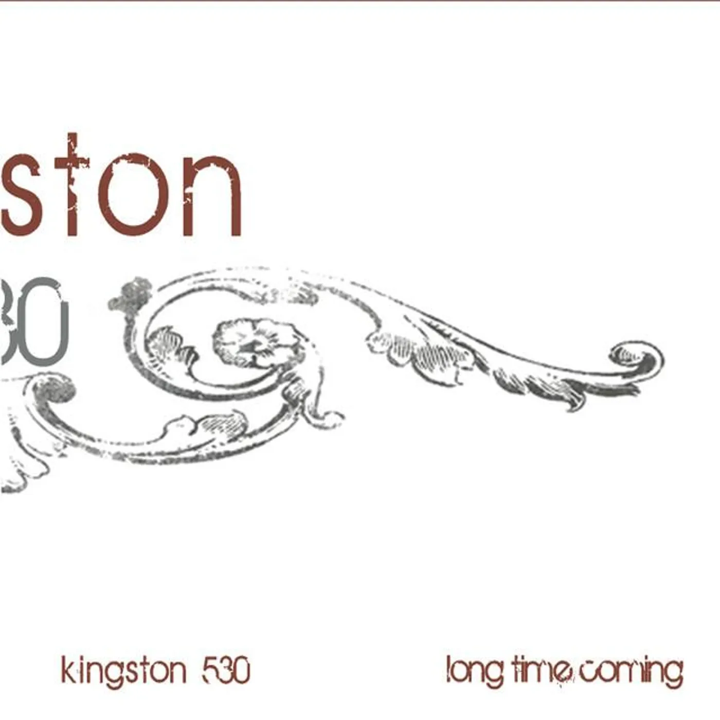 Kingston 530