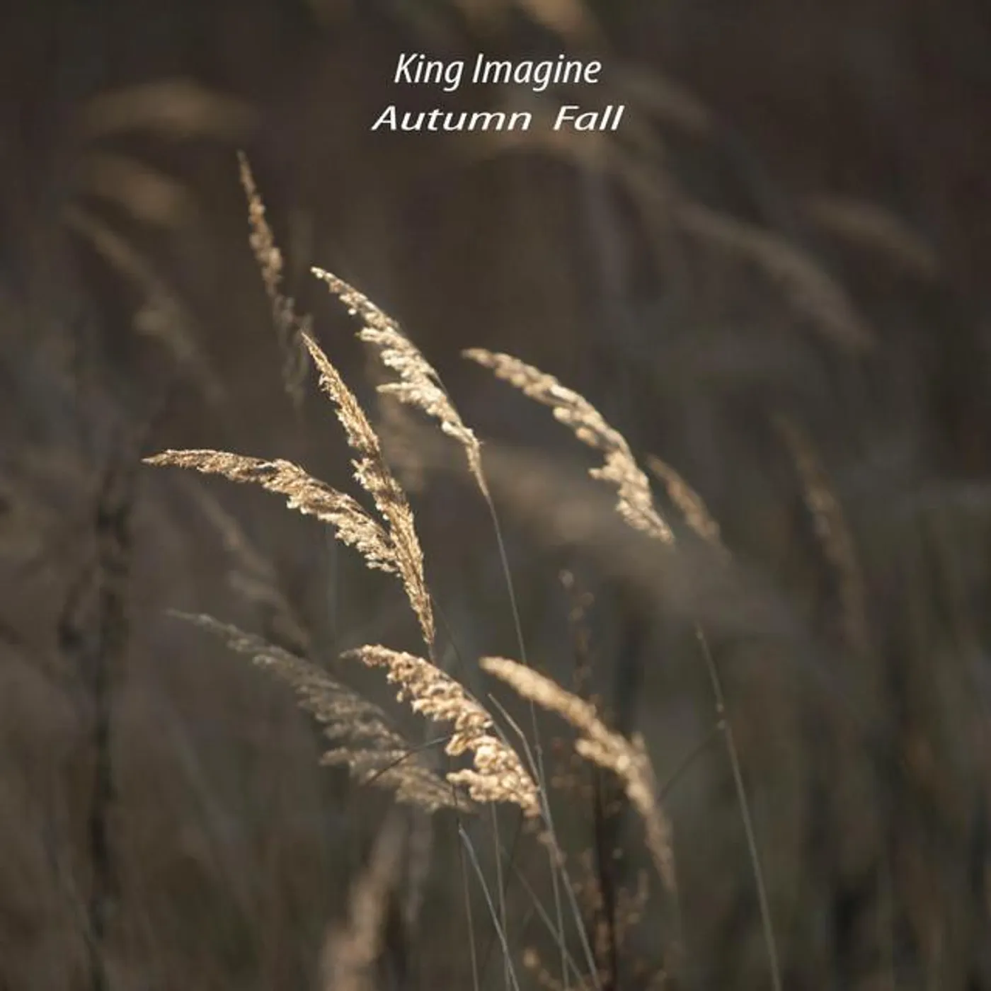 King Imagine