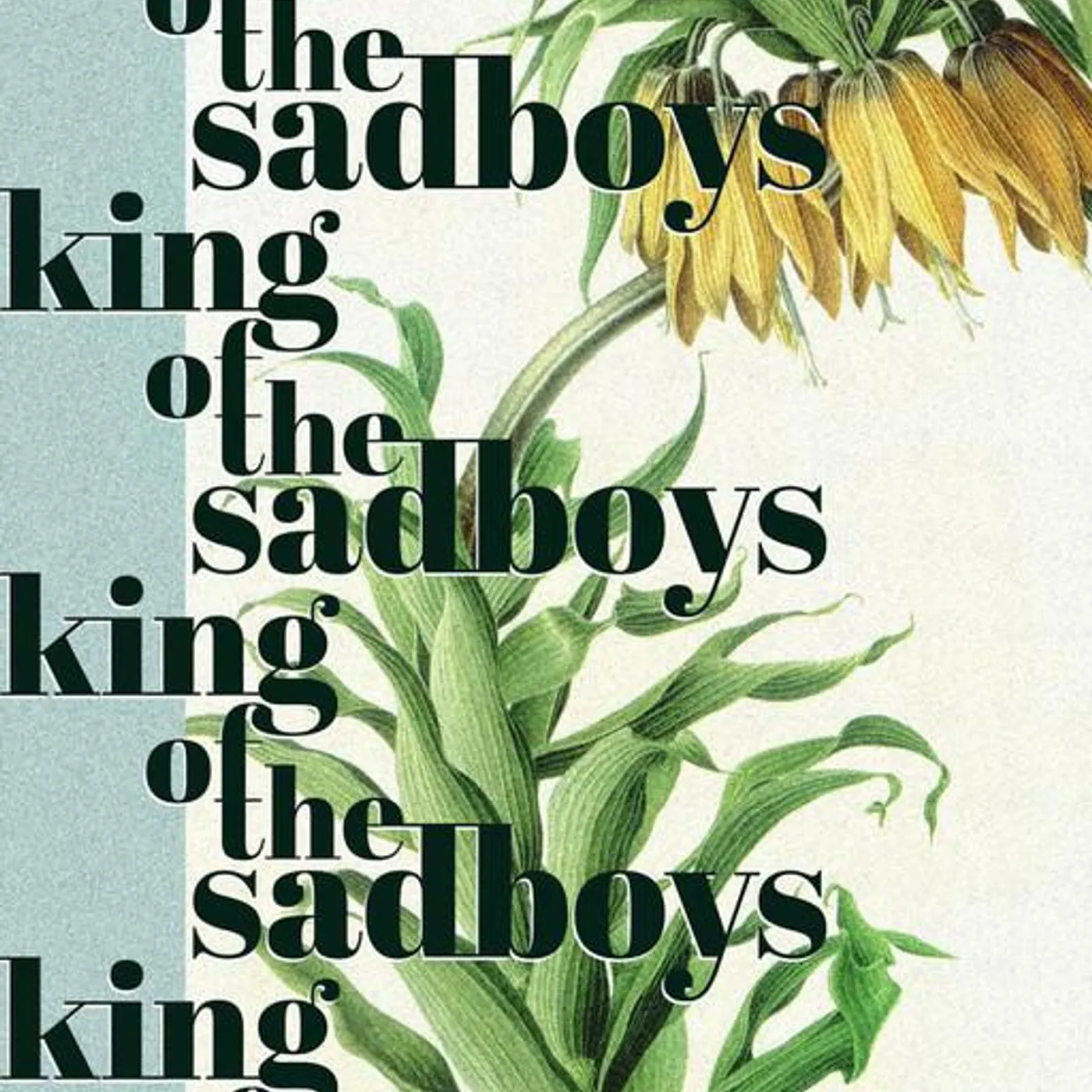 king of the sadboys