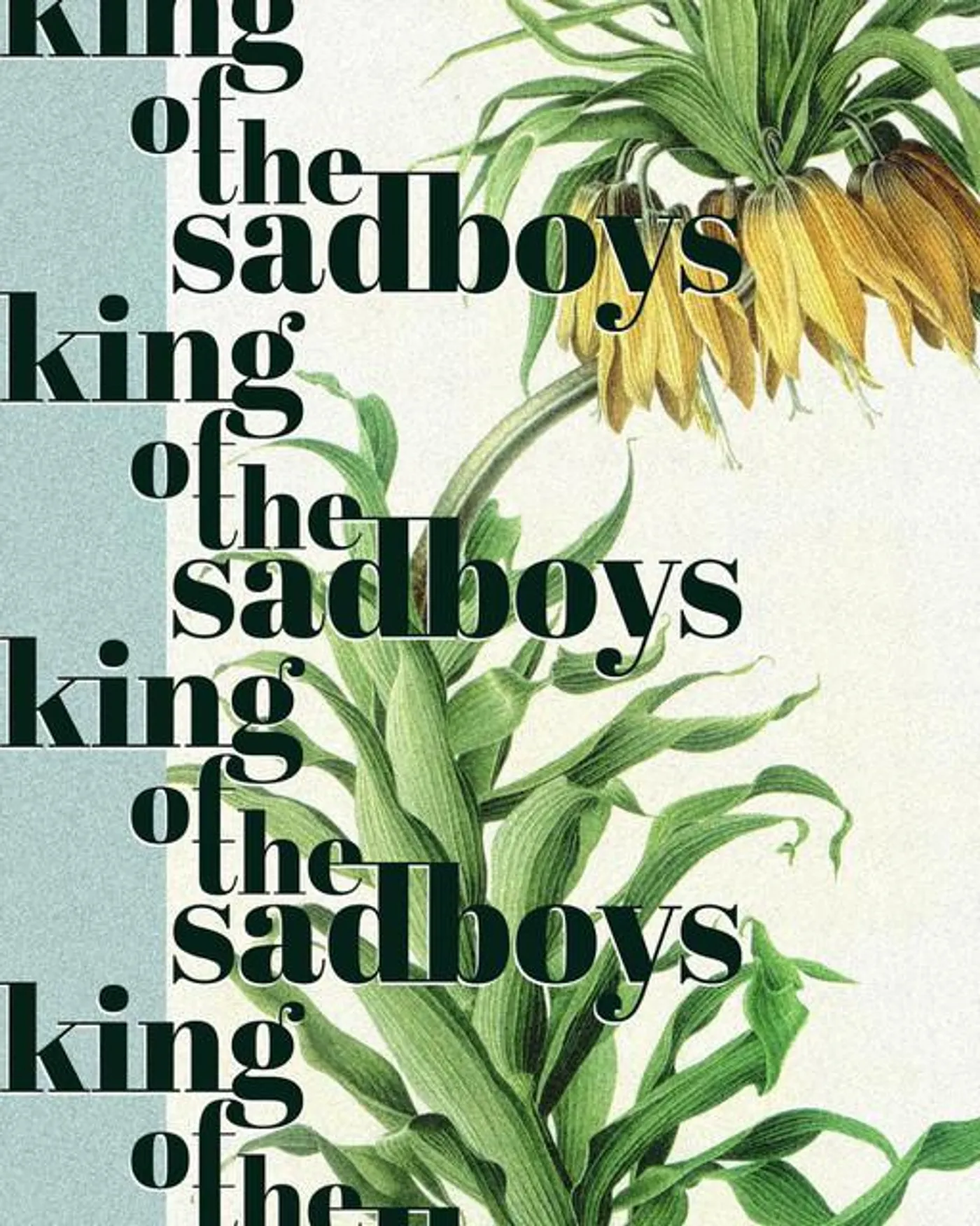 king of the sadboys