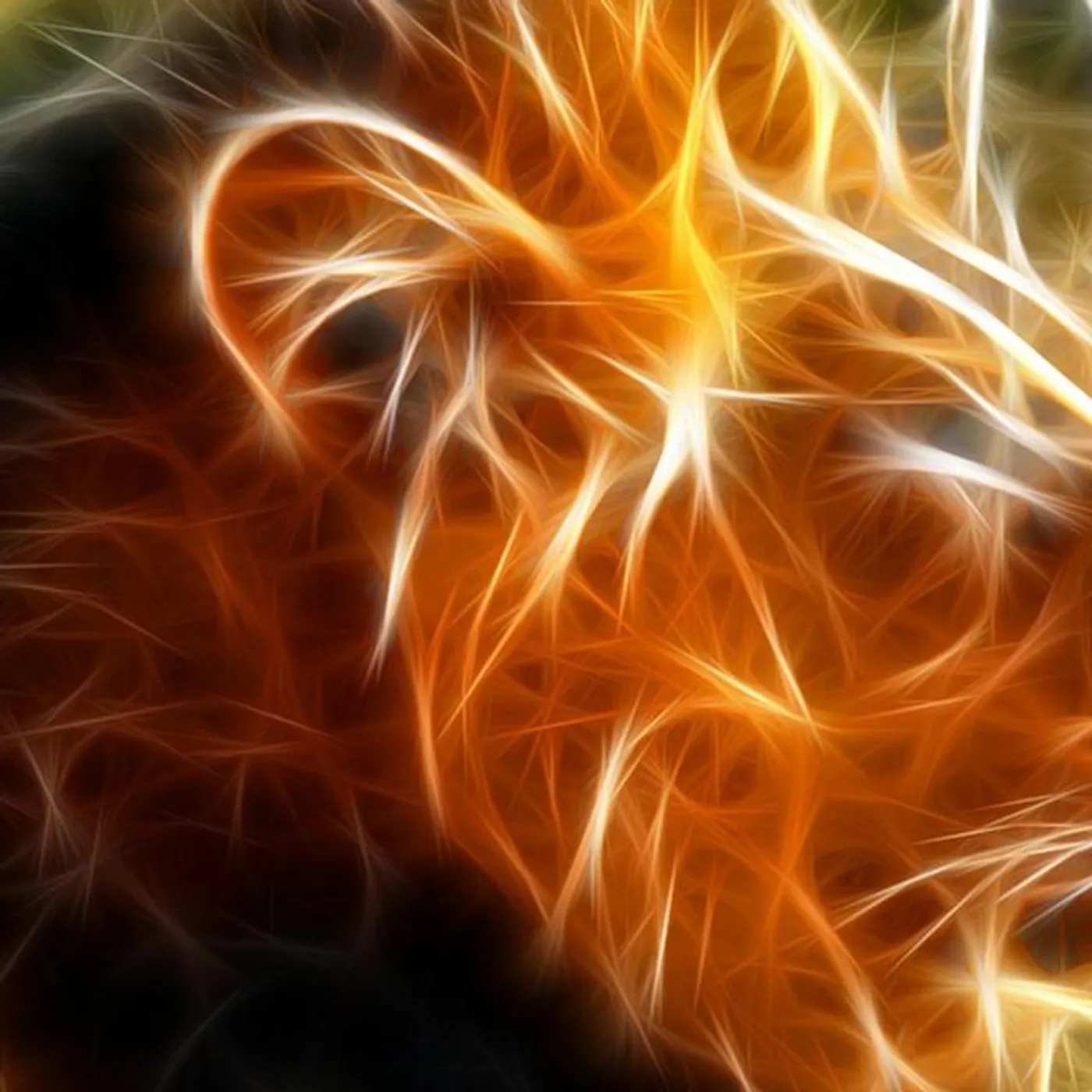 Kion Brand Page