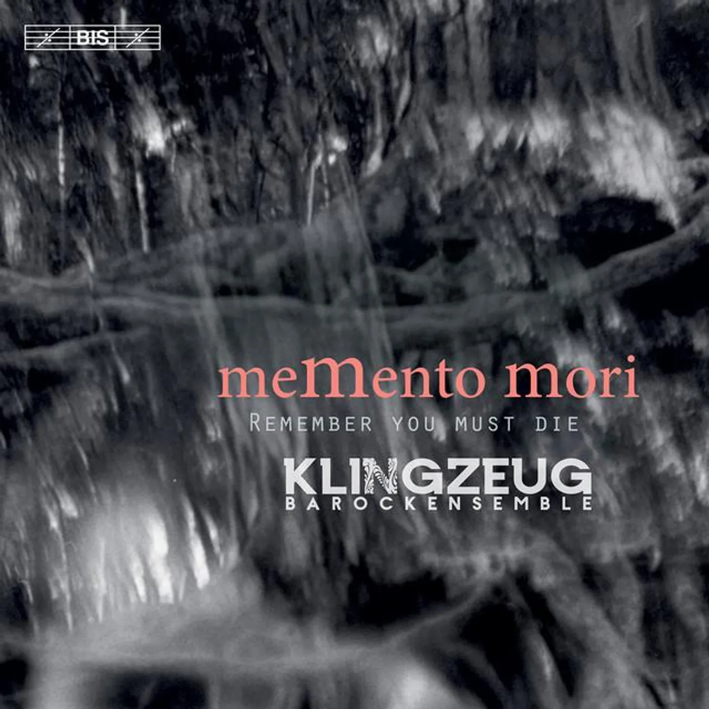 Klingzeug Barockensemble
