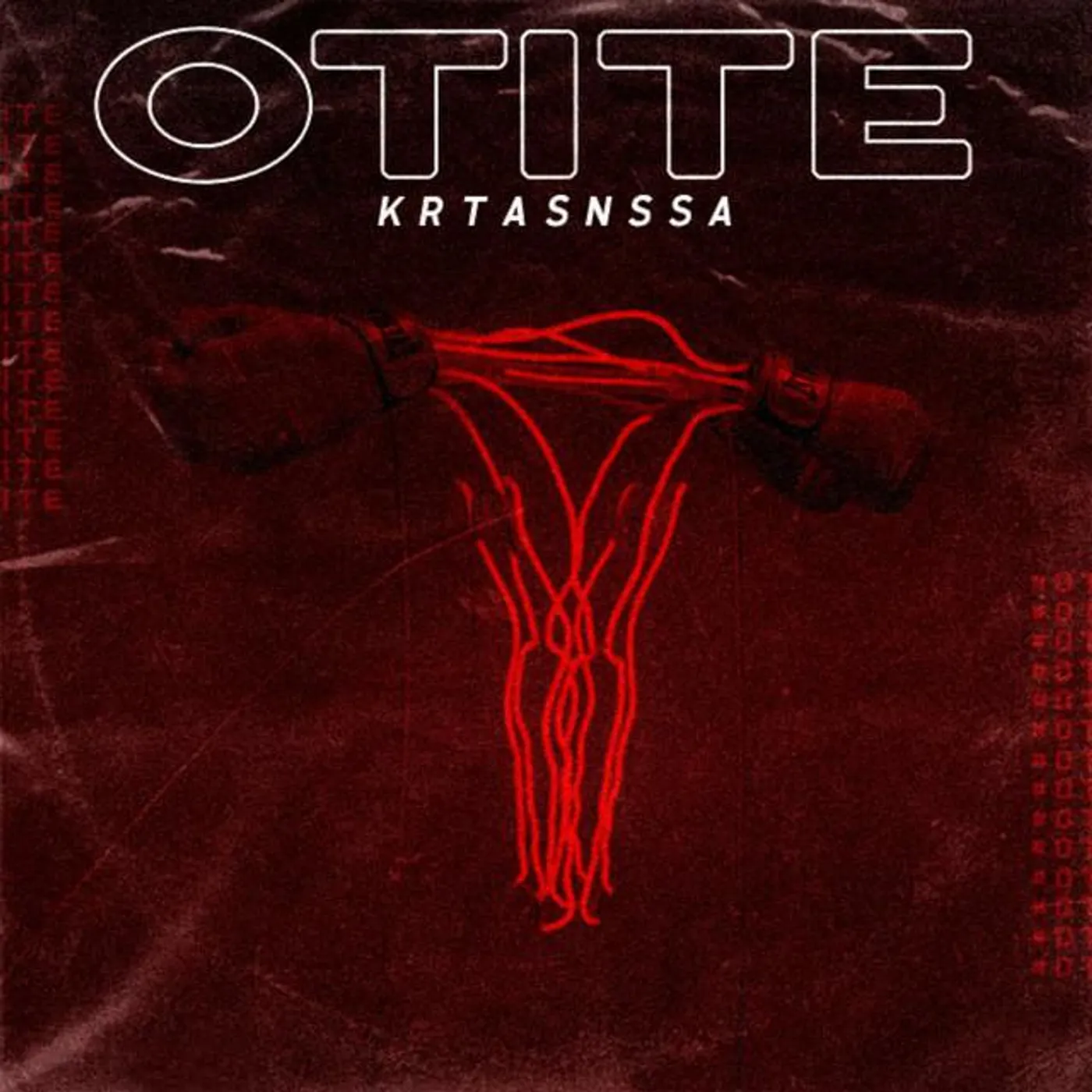 Krtas Nssa