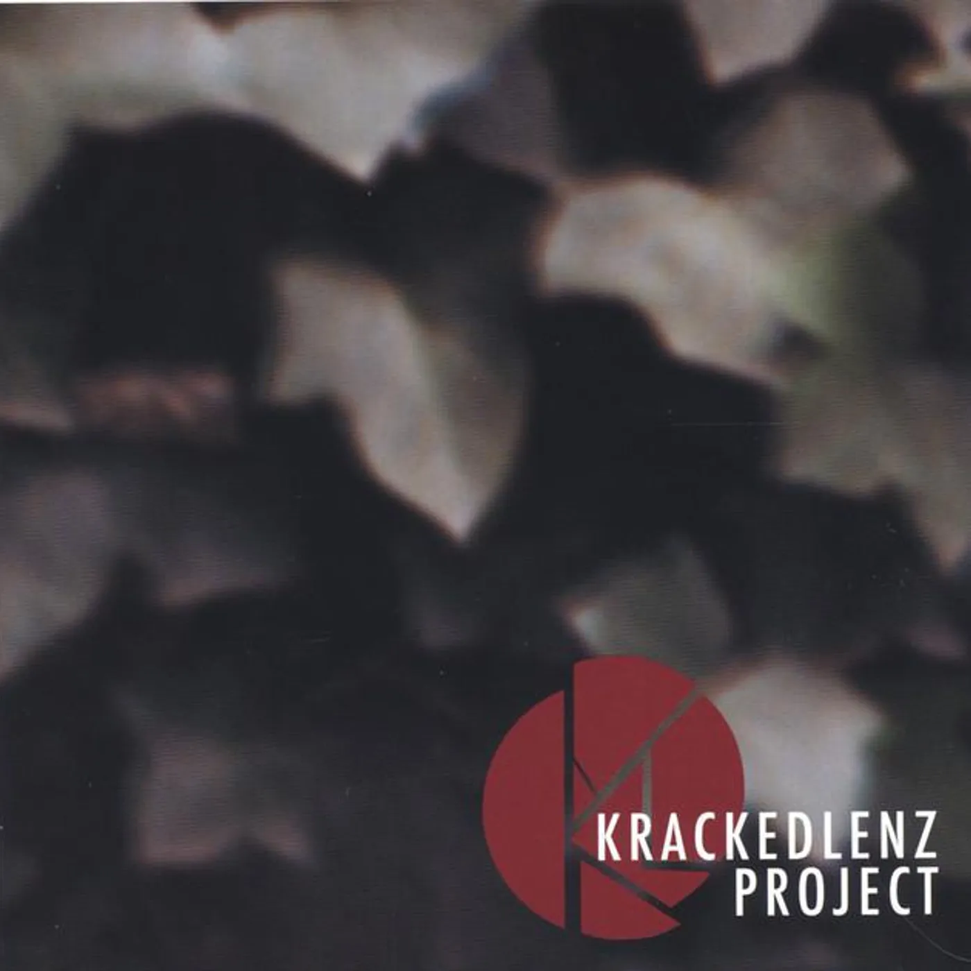Krackedlenz Project