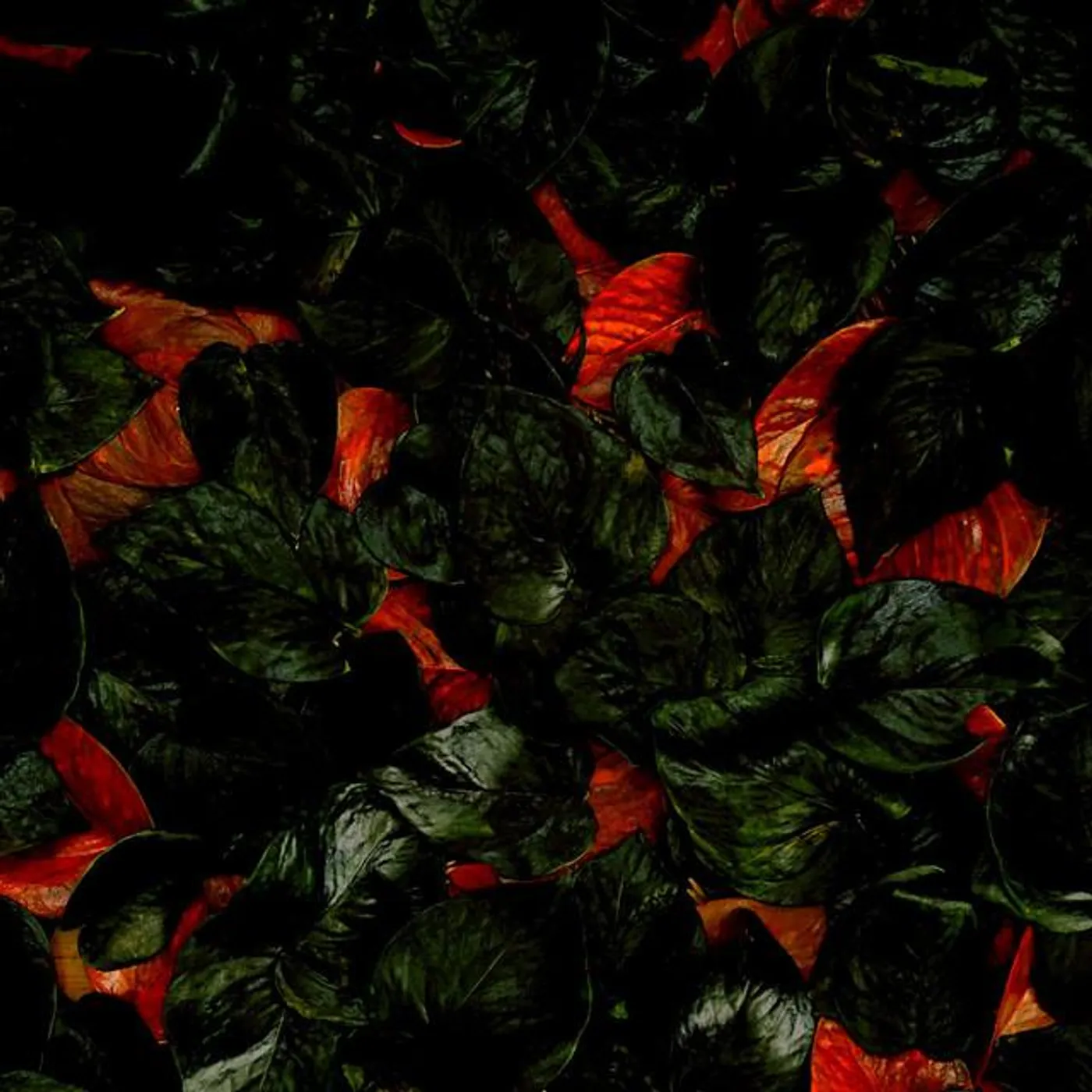 krooktroupe Brand Page