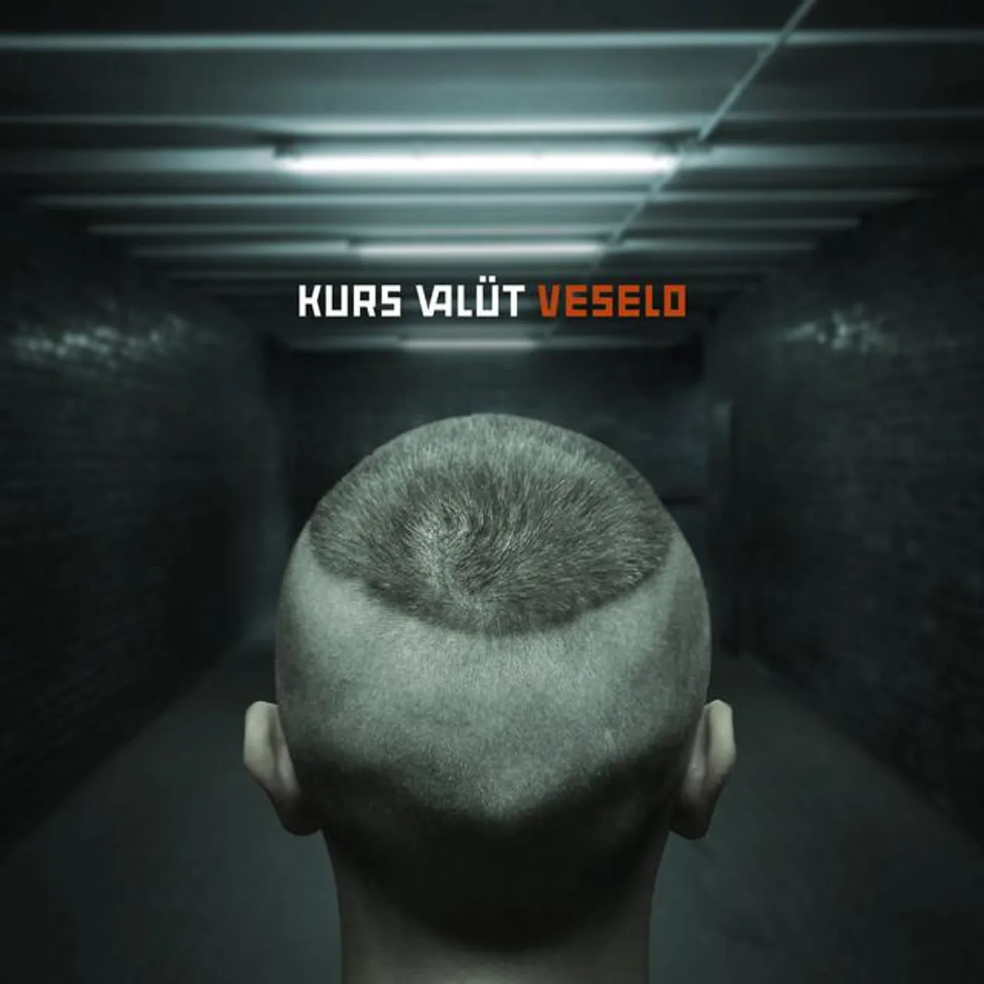 Kurs Valüt