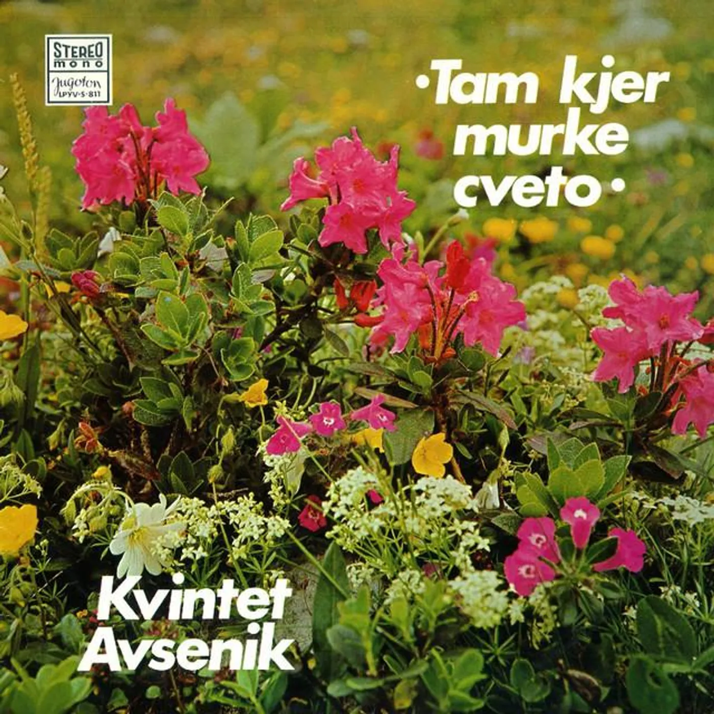 Kvintet 'Avsenik' Brand Page