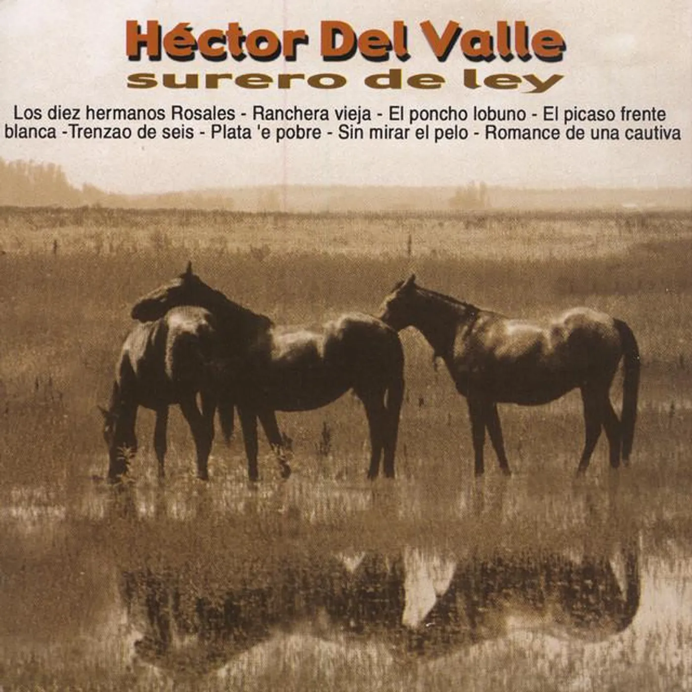 Héctor Del Valle