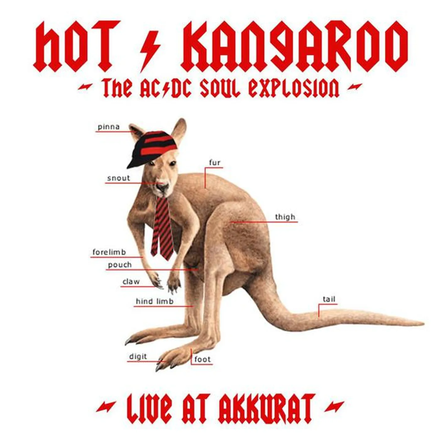 Hot Kangaroo