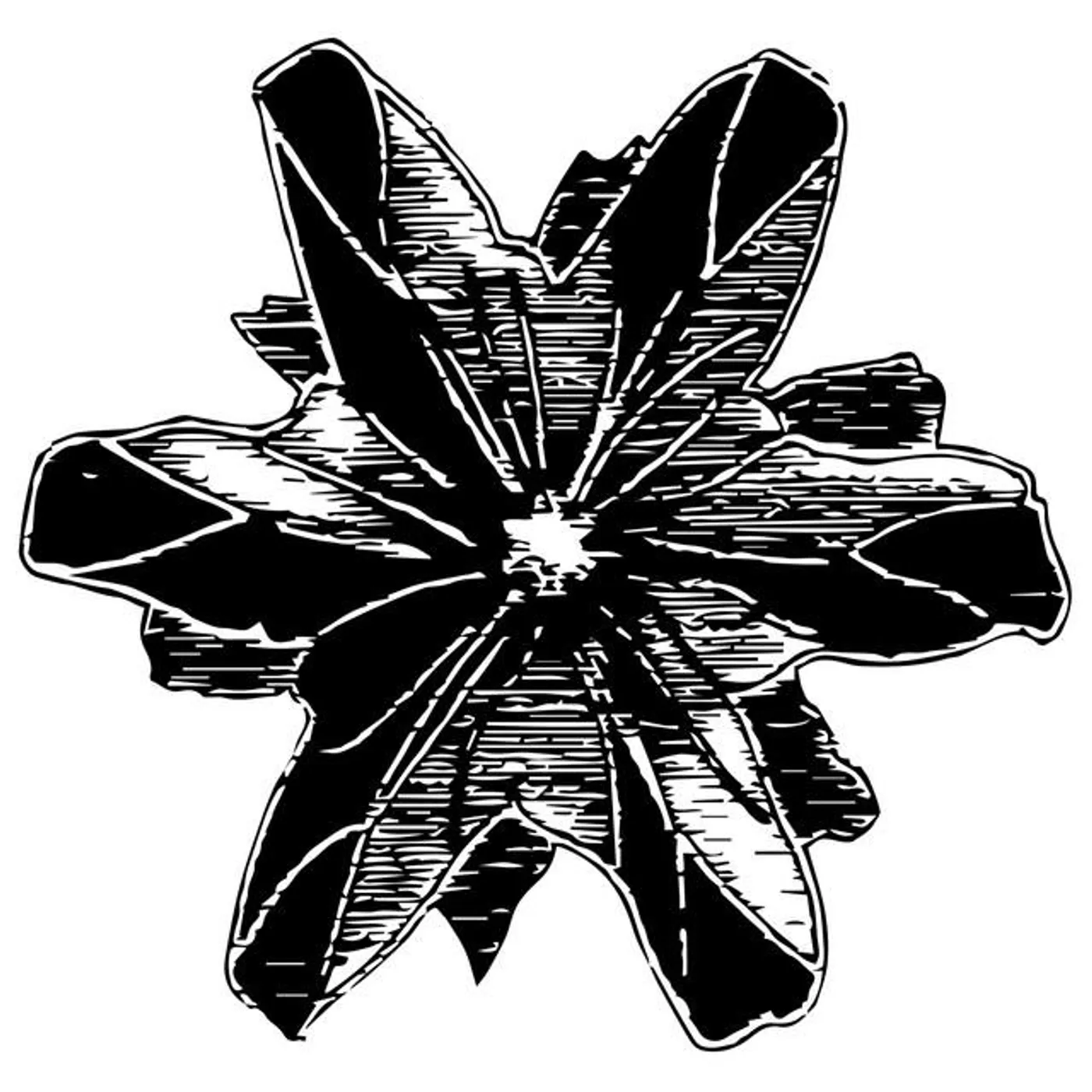 Hollow Points Brand Page