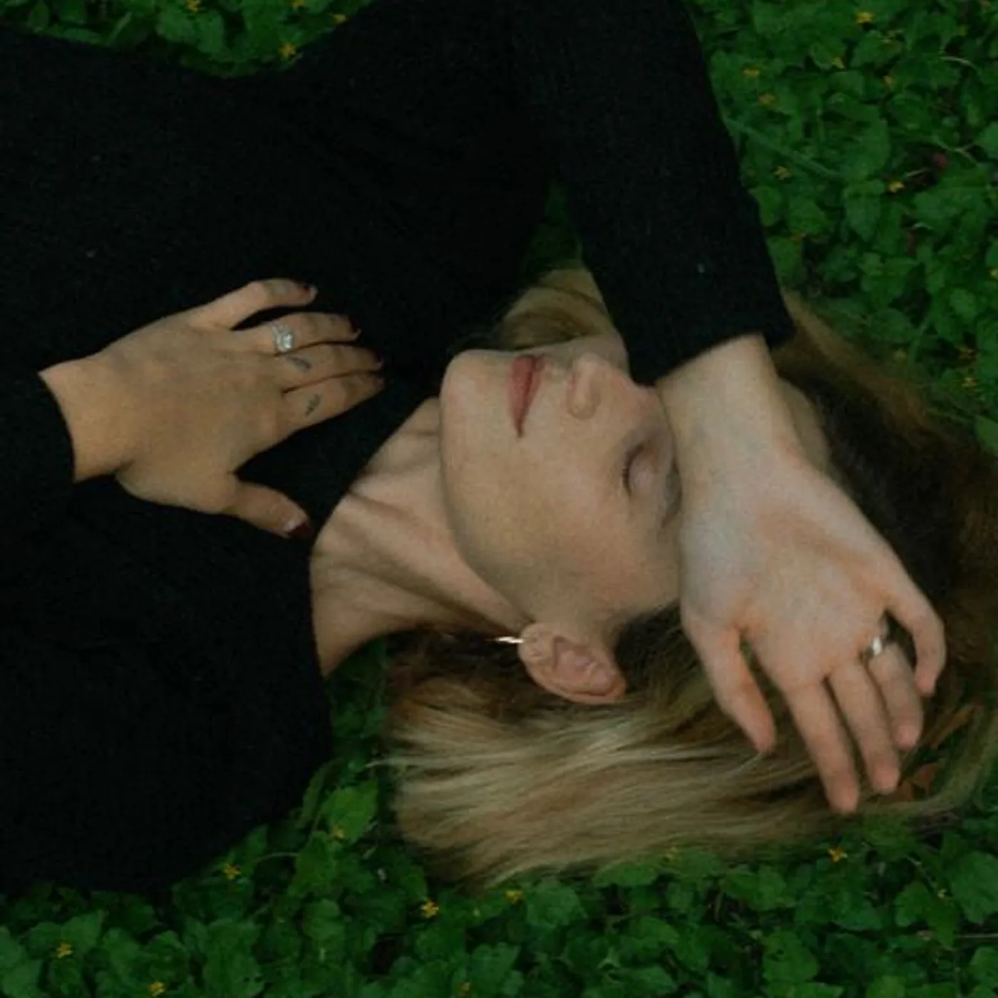 Hollyn Brand Page