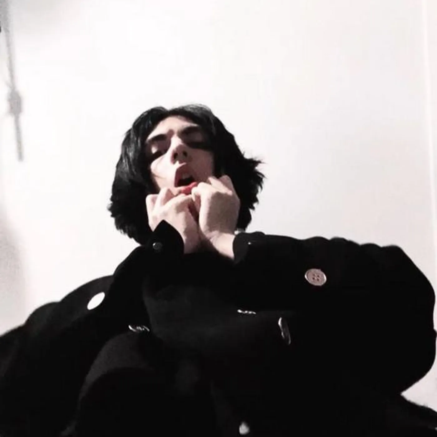 Holycarmine