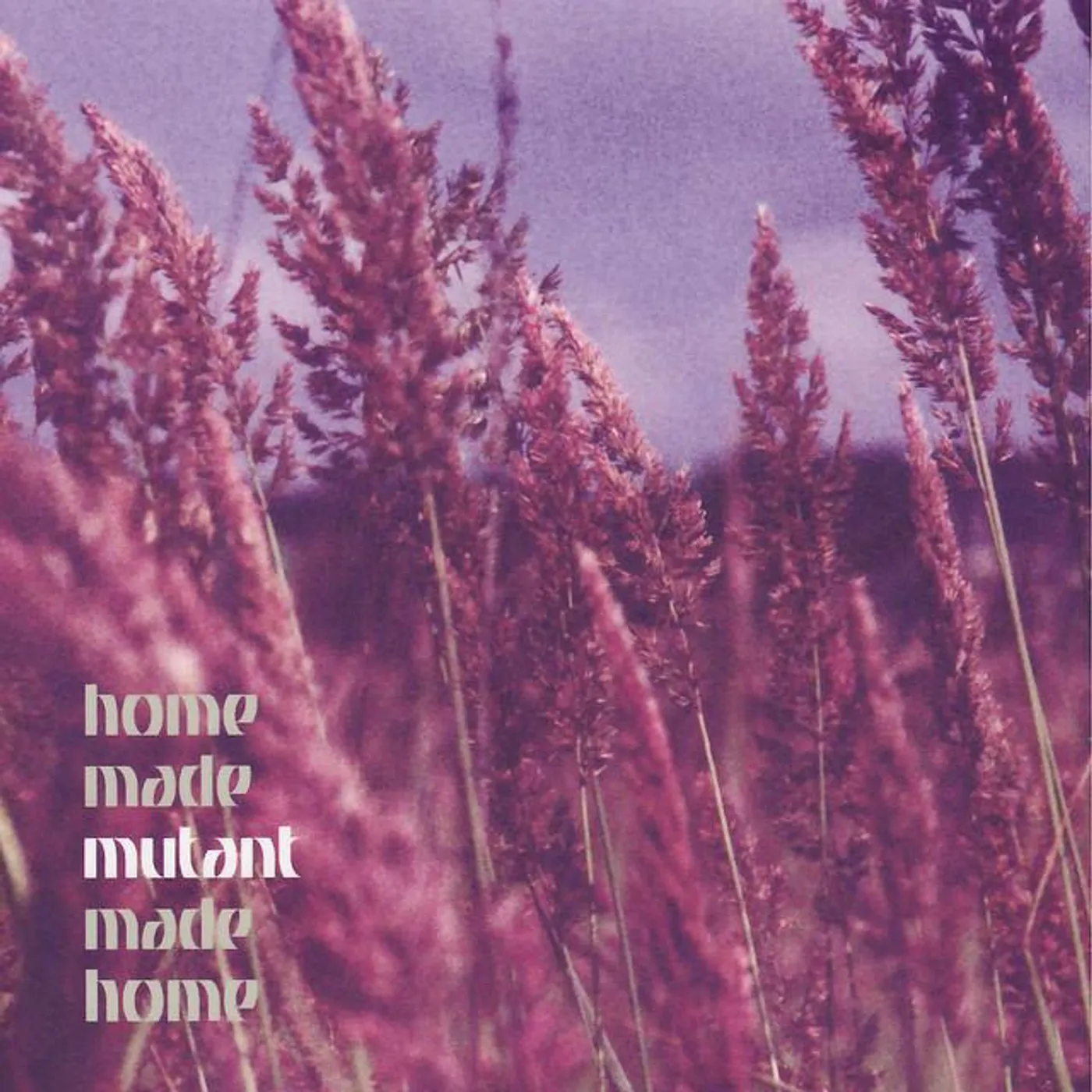 Home Made Mutant