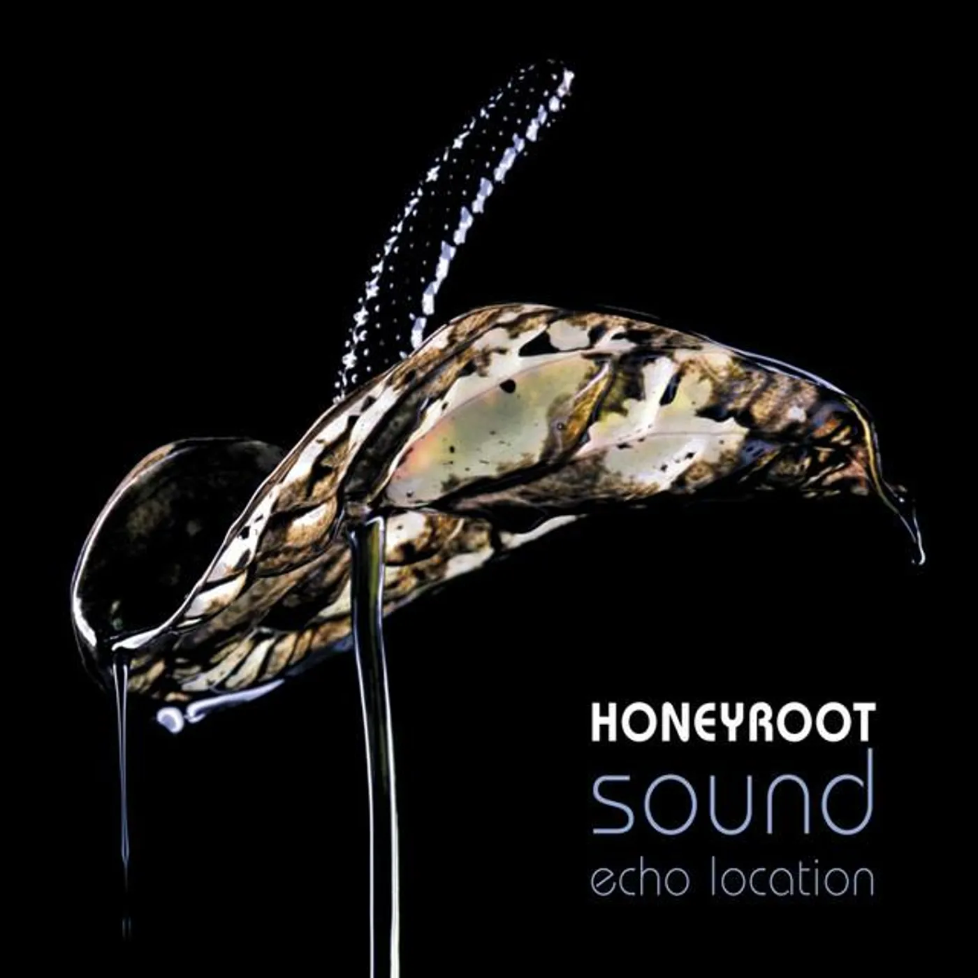 Honeyroot Brand Page