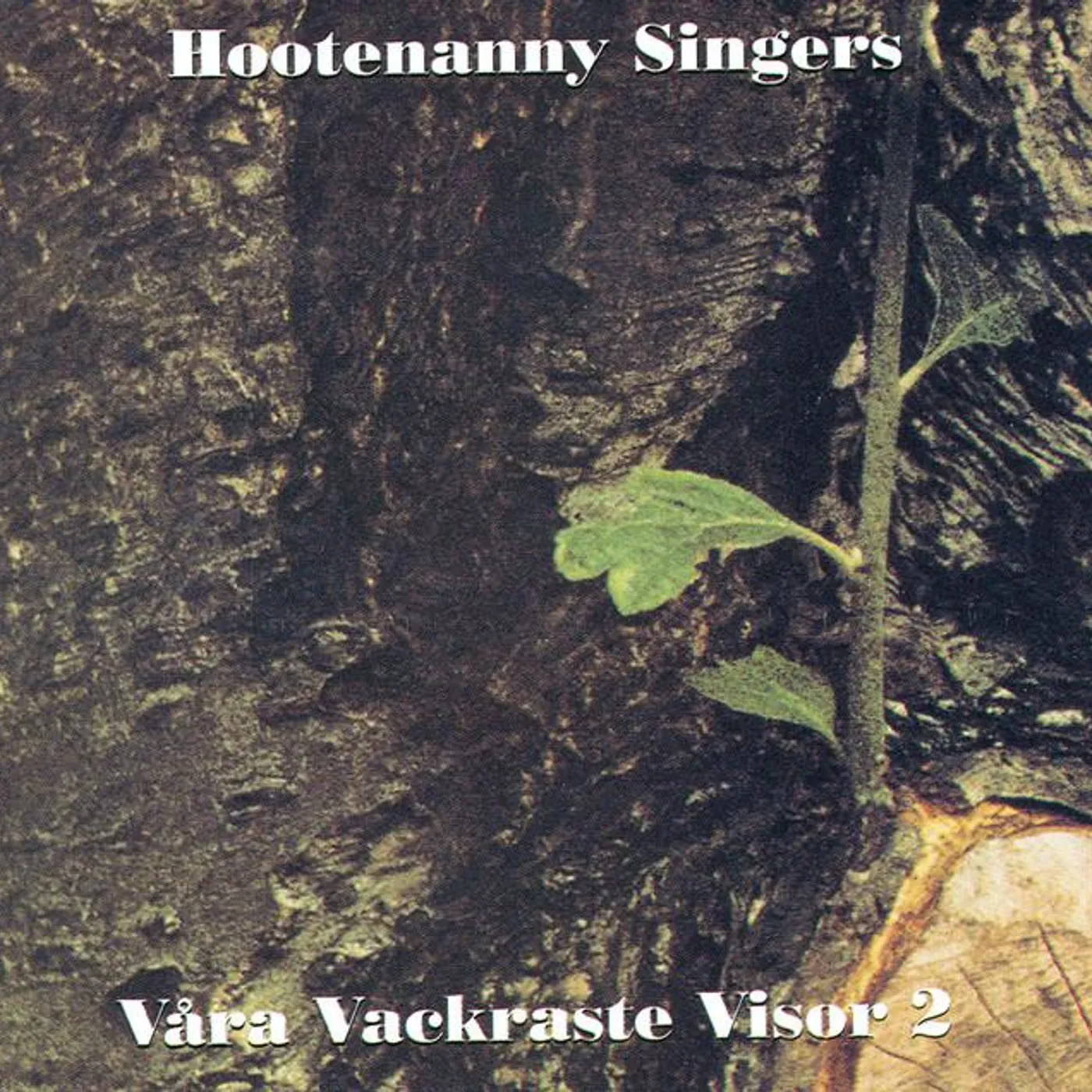 Hootenanny Singers Brand Page