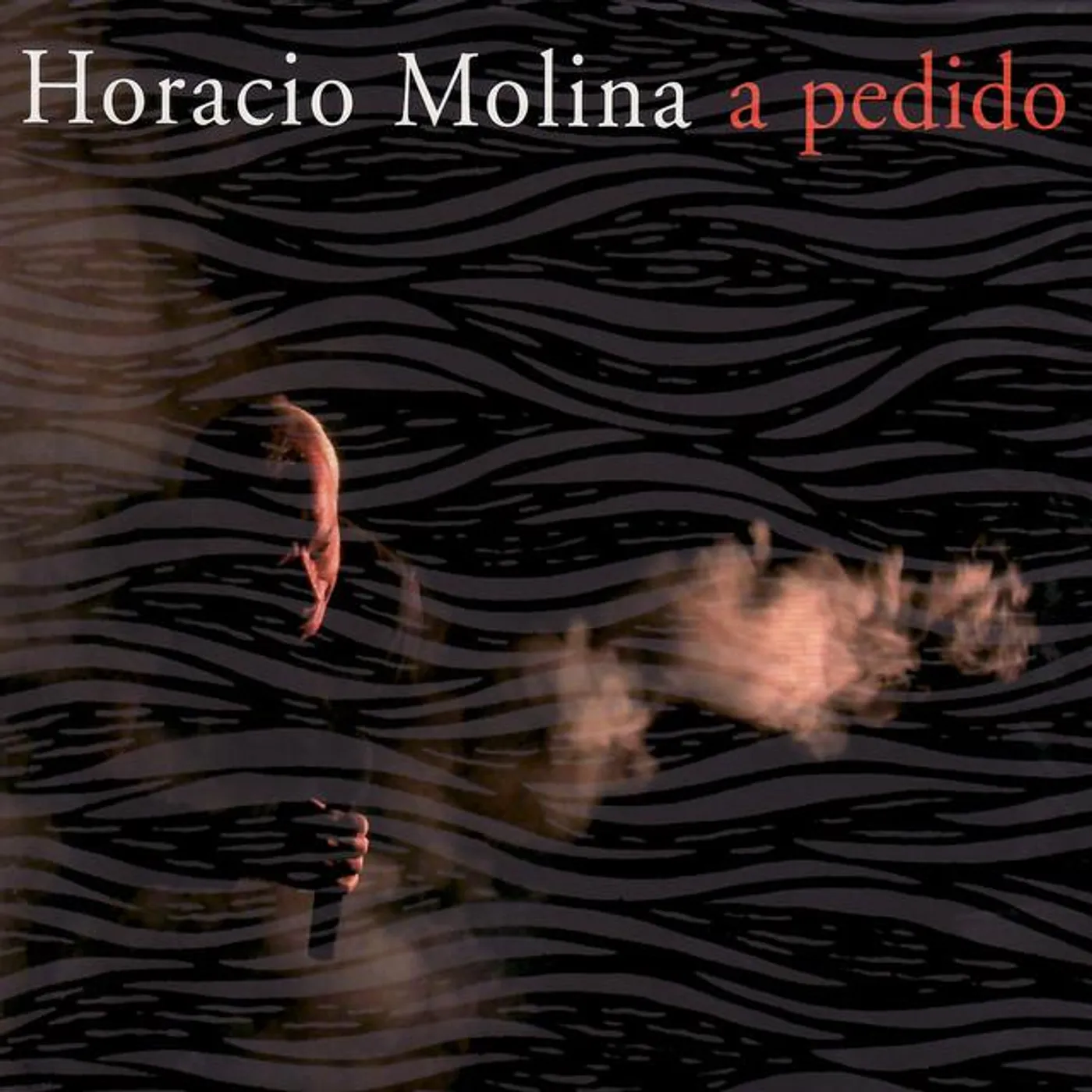Horacio Molina Brand Page
