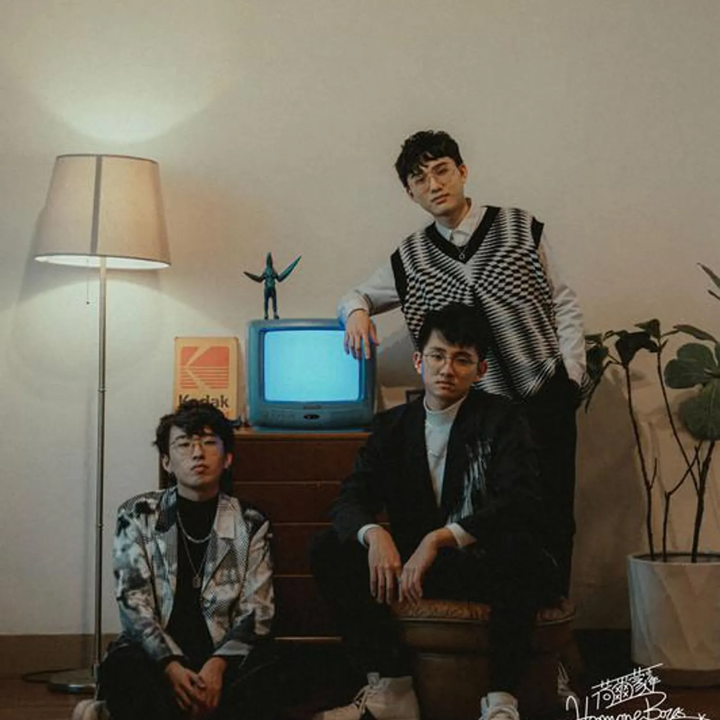 Hormone Boys