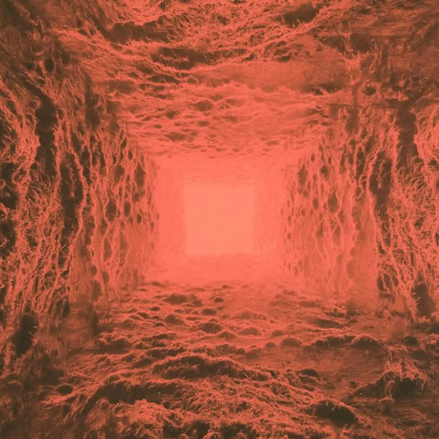 Haunted Plasma Brand Page