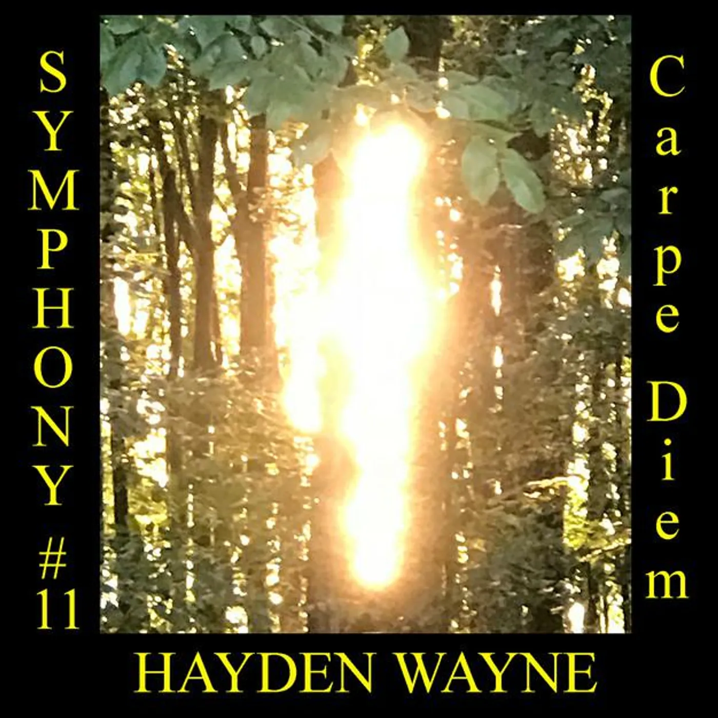 Hayden Wayne