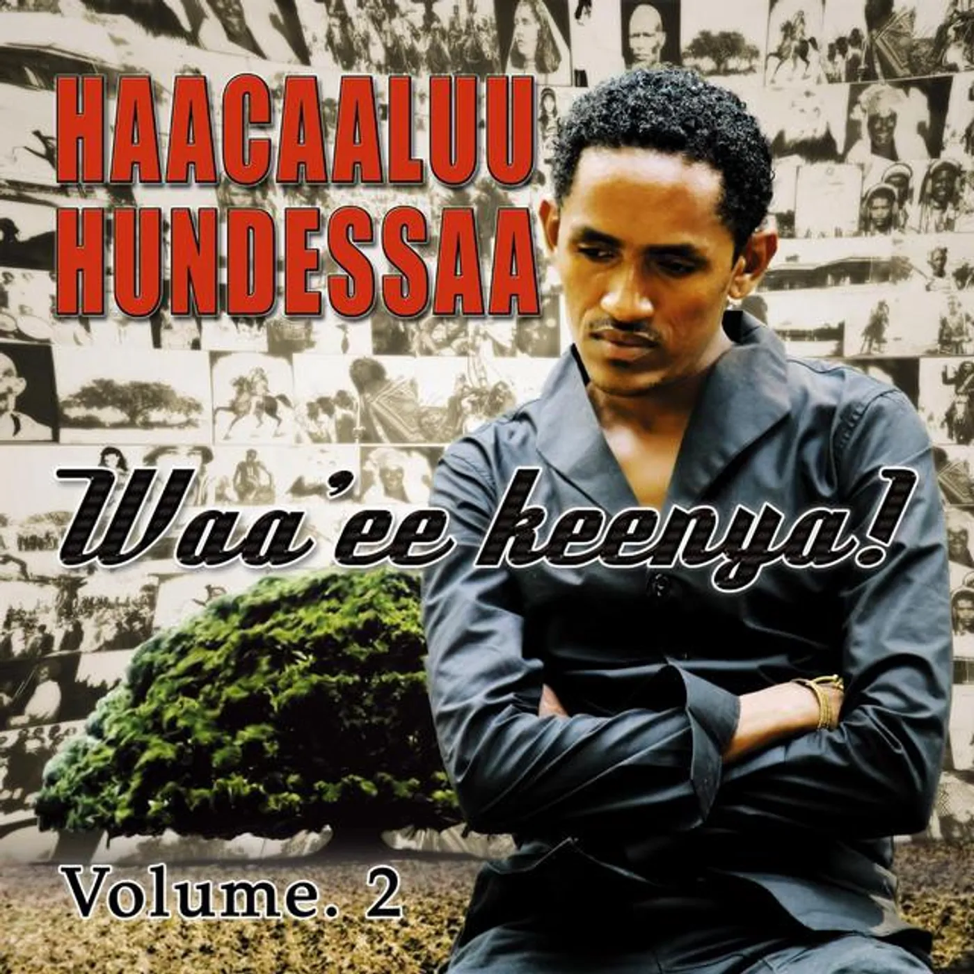 Haacaaluu Hundessaa
