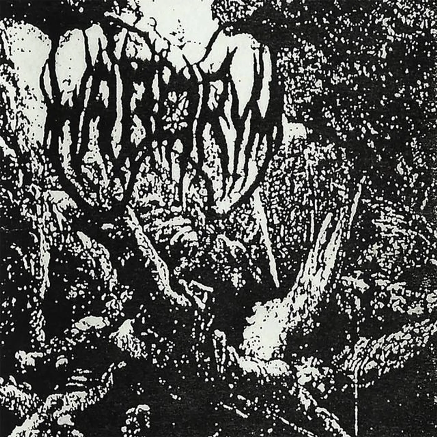 Haborym Brand Page