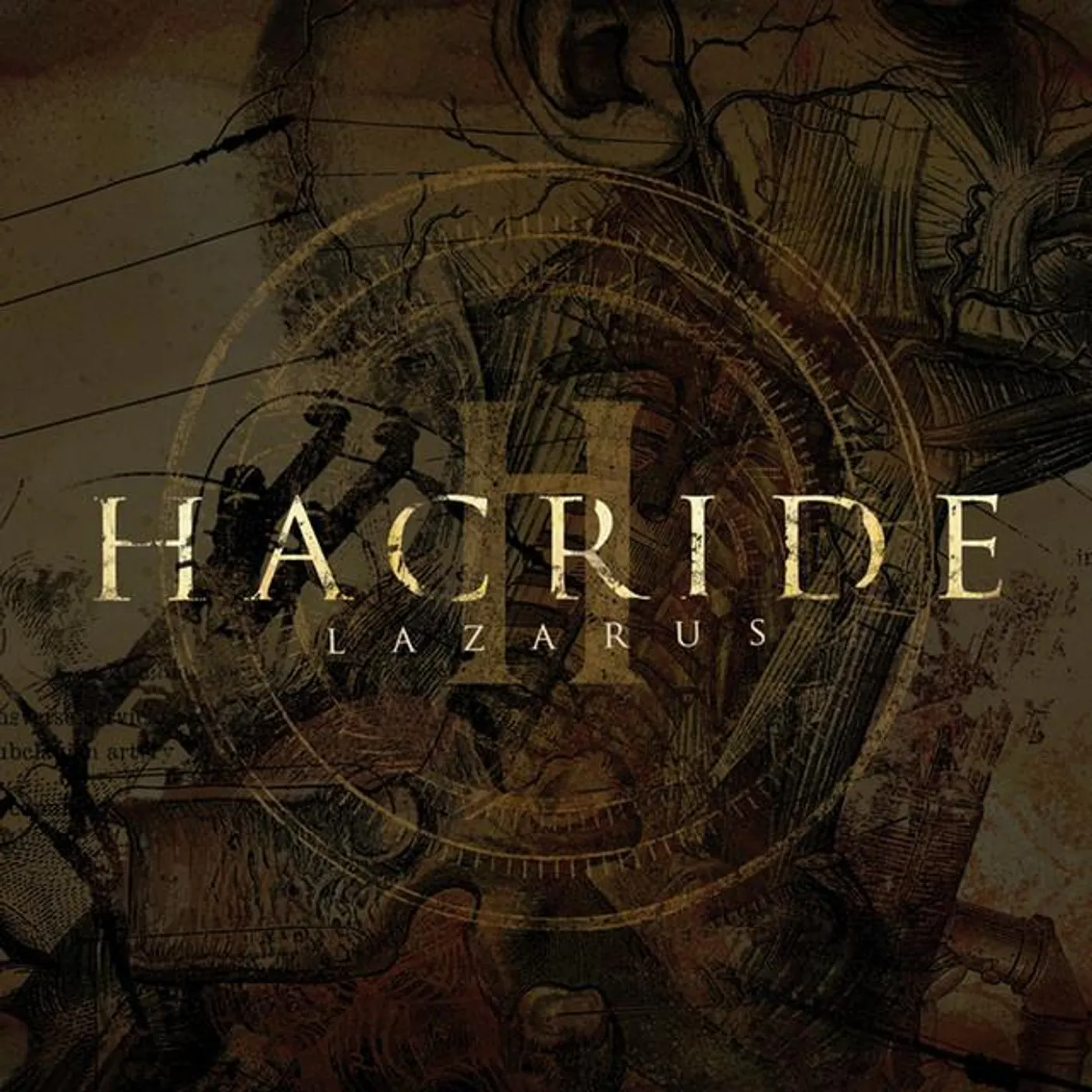 Hacride Brand Page