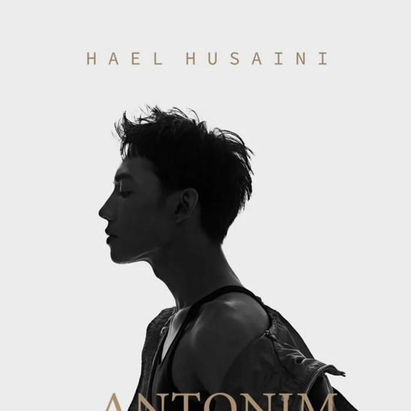 Hael Husaini