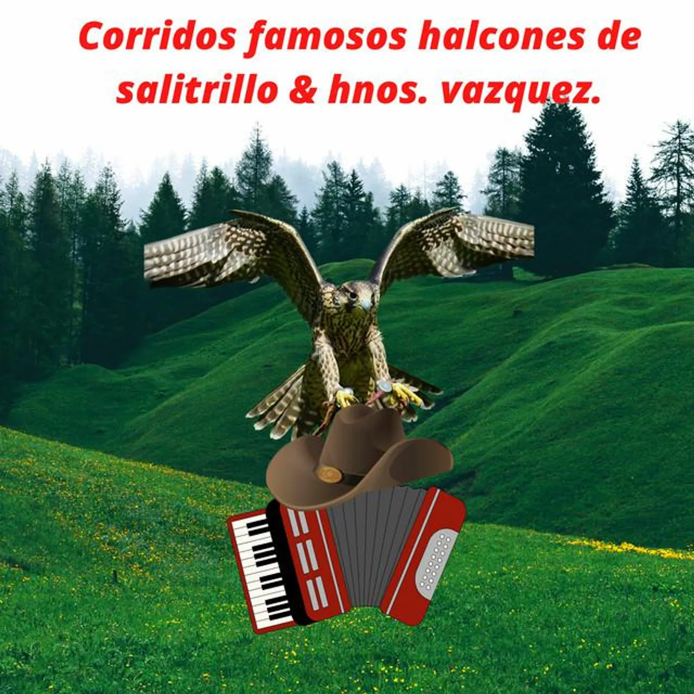 Halcones De Salitrillo Brand Page
