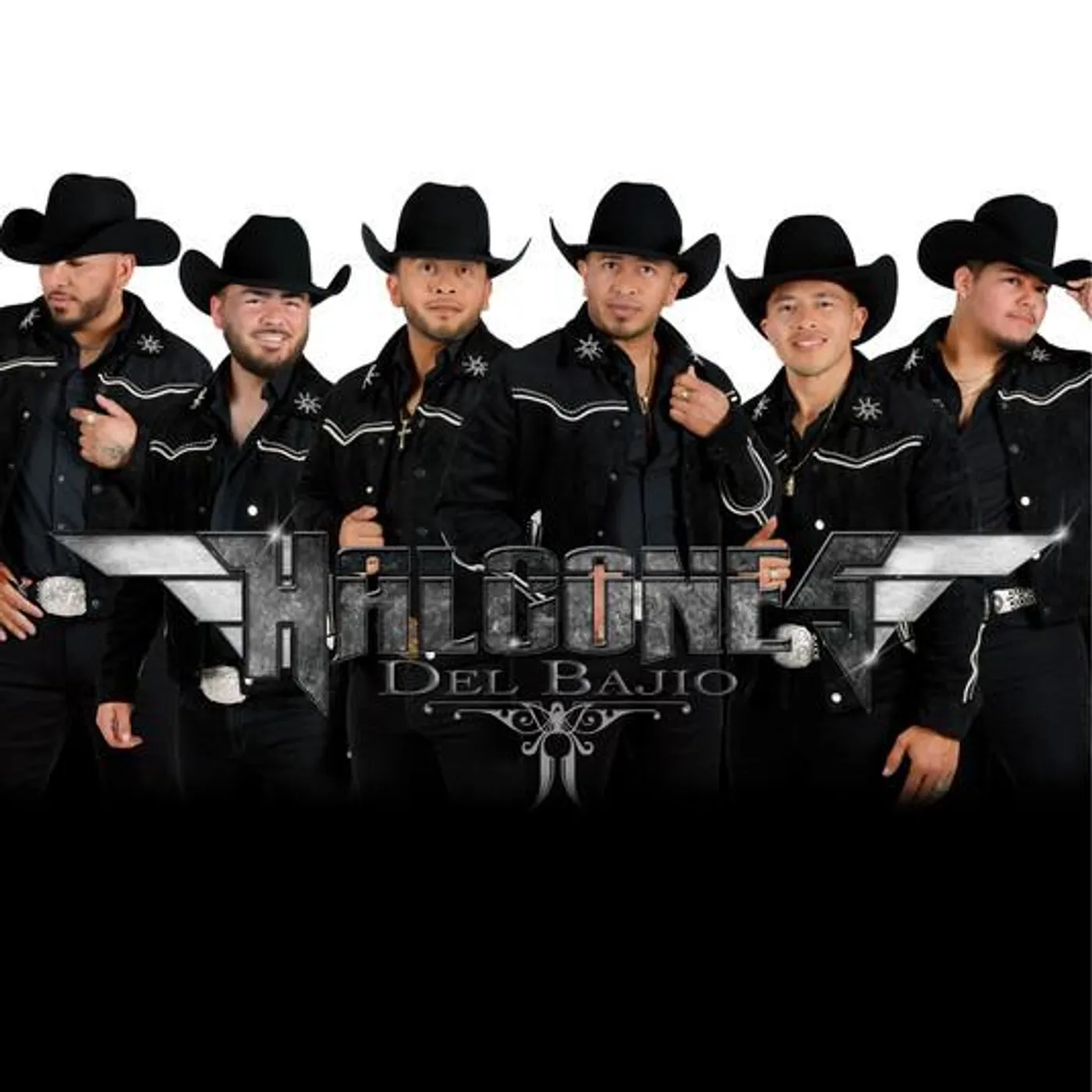 Halcones del Bajío