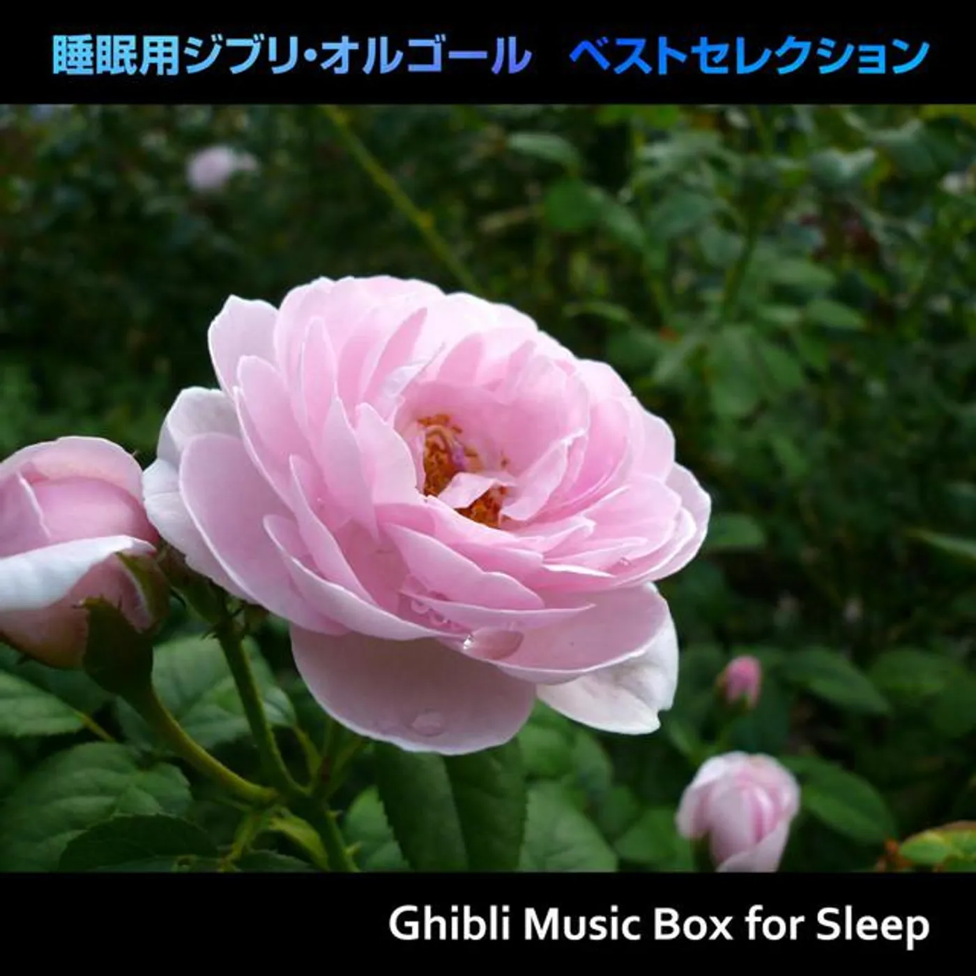 Hamasaki vs Hamasaki