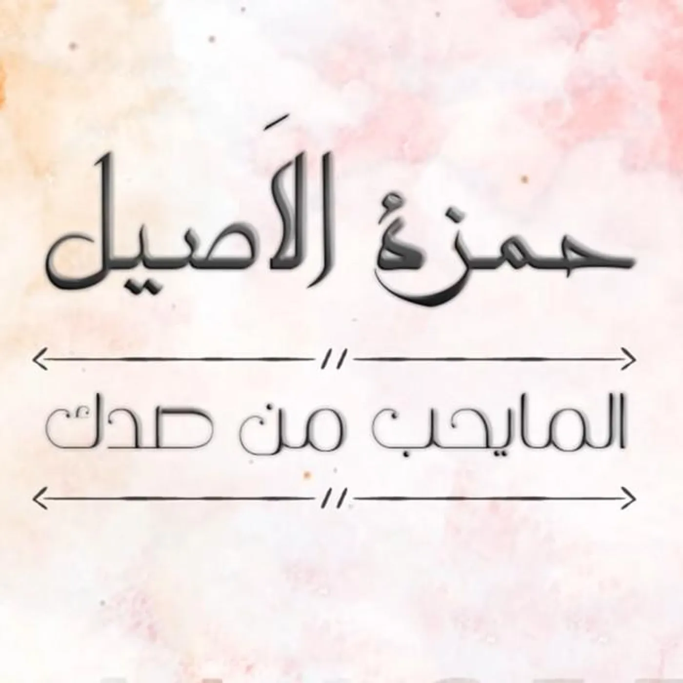Hamza El Aseel